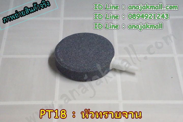 สินค้าสัตว์เลี้ยง,อุปกรณ์ตู้ปลา,หัวอ๊อกตู้ปลา,อุปกรณ์แต่งตู้ปลา,อุปกรณ์แต่งสวน,อุปกรณ์ตู้ไม้น้ำ,หัวทรายจาน,หัวอ๊อกซิเจนตุ๊กตา,กังหันใต้น้ำ,แต่งตู้ปลา,อุปกรณ์แต่งสวนจิ๋ว,ที่นอนน้องหมา,อุปกรณ์น้องหมา,สินค้าทาสแมว,แต่งกระถางสวนจิ๋ว,อุปกรณ์แต่งสวนถาด,อุปกรณ์แต่งสวนน้ำ,สวนน้ำจิ๋ว,แต่งตู้ไม้น้ำ,อุปกรณ์ประดับตู้ปลา,สะพานเทียมแต่งตู้ปลา,เรือเทียมแต่งตู้ปลา,สินค้าแต่งตู้ปลา,หัวออกซิเจนฟองละเอียด,หัวทรายฟองละเอียด,เพิ่มออกซิเจนตู้ปลา,ต้นไม้เทียม,อ่างเลี้ยงเต่าญี่ปุ่น,สวนในโหลแก้ว,แต่งสวนในโหล,สวนขวดแก้ว,แต่งบ้านเต่า,แต่งบ้านปลา,อุปกรณ์ตู้กุ้ง,ตู้ปลาสวยงาม,แต่งสวน,แต่งบ่อน้ำพุ,ภูเขาเทียมแต่งบ่อน้ำพุ,ตกแต่งบ่อน้ำพุสวยๆ,ตุ๊กตาตกแต่งบ่อน้ำพุ,ตุ๊กตาแต่งบ่อเต่า,แต่งตู้เต่าญี่ปุ่น,แต่งตู้เต่าแคระ,แต่งบ้านน้องเต่า,แต่งบ้านน้องปลา,เปลือกหอยเทียมแต่งตู้ปลา,หินเรืองแสง,หินแต่งตู้ปลา,หินแต่งตู้ไม้น้ำ,หินเรืองแสงแต่งสวน,หินเรืองแสงแต่งบ่อน้ำพุ,ตุ๊กตาตกแต่งบ่อน้ำพุ,ไฟใต้น้ำแต่งตู้ปลา,ไฟตกแต่งบ่อปลา,แต่งสวนน้ำพุ,อุปกรณ์จัดสวนน้ำพุ,จัดสวนน้ำพุหน้าบ้าน,จัดบ่อปลาหน้าบ้าน,แต่งบ่อน้ำล้น,อ๊อกหัวทราย,จัดตู้ปลาทอง,แต่งตู้ปลาทอง,แต่งบ่อปลาคราฟ,ไฟใต้น้ำตู้ปลาพร้อมหัวอ๊อก,ไฟใต้น้ำตู้ปลาพร้อมออกซิเจน,สวนตู้ปลา,แต่งสวนตู้ปลา,แต่งสวนตู้ไม้น้ำ,ต้นไม้ปลอมใส่ตู้ปลา,ขอนไม้แต่งตู้ปลา,ขอนไม้แต่งบ่อเต่า,จัดสวนไม้น้ำในตู้ปลา,ระบบกรองน้ำ,อุปกรณ์สัตว์น้ำ,ที่ดูดขี้ปลา,ทำความสะอาดบ่อปลาง่ายๆ,ดูดขี้ปลาในตู้,ทำความสะอาดบ่อปลา,ทำความสะอาดบ่อกุ้.,เสื้อผ้าสุนัข,เสื้อแมว,กระเป๋าสุนัข,ที่นอนหมา,บ้านหมา,บ้านสุนัข,อุปกรณ์สุนัข,เสื้อสุนัขพันธุ์ใหญ่,เสื้อสุนัขพันธุ์เล็ก,เสื้อสุนัขนำเข้า,เสื้อแมวนำเข้า,รองเท้าสุนัข,ถุงเท้าสุนัข,หมวกสุนัข,หมวกแมว,ขายปลีกเสื้อผ้าน้องหมาราคาถูก,อุปกรณ์ทำความสะอาดบ่อน้ำพุ,กำจัดขี้ตะไคร่ในบ่อน้ำพุ,ขายส่งเสื้อผ้าสุนัขราคาถูก,เสื้อผ้าน้องหมาราคาถูก,เสื้อผ้าน้องหมาแฟชั่นเกาหลี,เสื้อผ้าน้องแมวแฟชั่นเกาหลี,เสื้อกันฝนสุนัข,เสื้อกันฝนแมว,กระเป๋าสุนัข,ที่นอนนิ่มน้องหมา,กระเป๋วแมว,ที่นอนสุนัข,ที่นอนแมว,หมวกแฟชั่นน้องหมา,หมวกแฟชั่นน้องแมว,ปลอกคอสุนัข,ปลอกคมแมว,สายจูงสุนัข